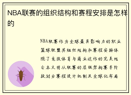 NBA联赛的组织结构和赛程安排是怎样的